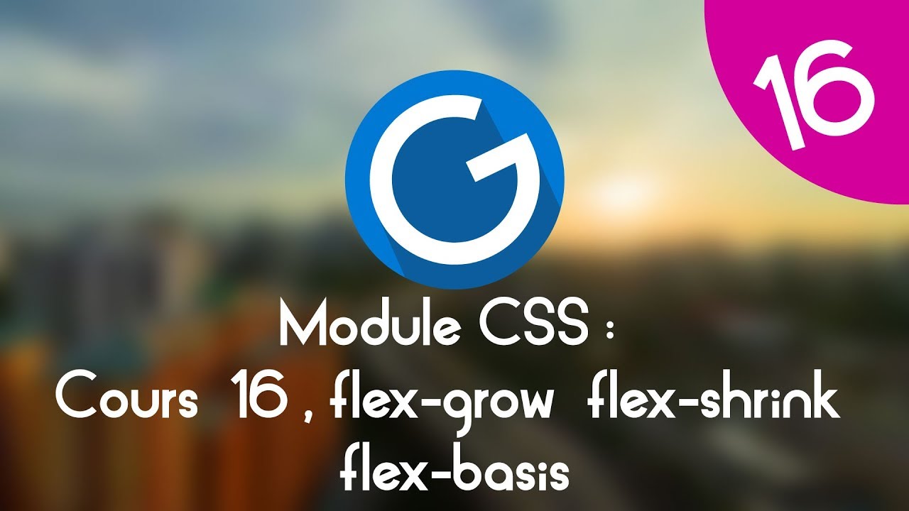 Formation IMM - Module CSS : Cours tuto 16 , flex-grow, flex-shrink et flex-basis