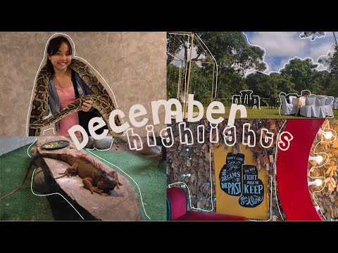 December 2022 Highlights | Shopping, lots of food, fireworks, Manila zoo and more! 🌷✨💗