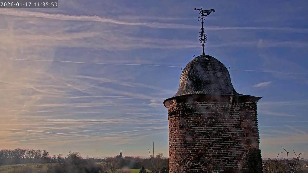 Uhu Webcam 4 – Live-Stream von EGE – Gesellschaft zur Erhaltung der Eulen e.V.