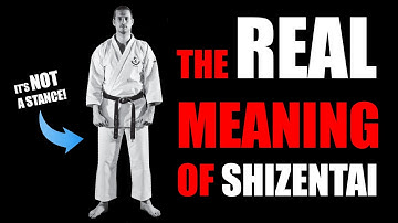 Shizentai is NOT a stance || AJ from The Digi Dojo