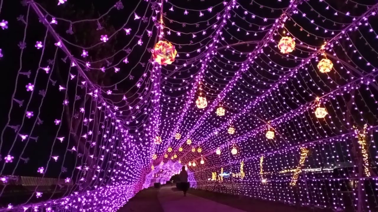 縣民公園燈光秀 3