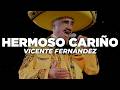 Vicente Fernández - Hermoso Cariño (Letra)