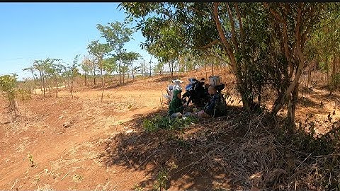 Câu cá lóc tự nhiên ở đập sông ray mùa nắng và gió