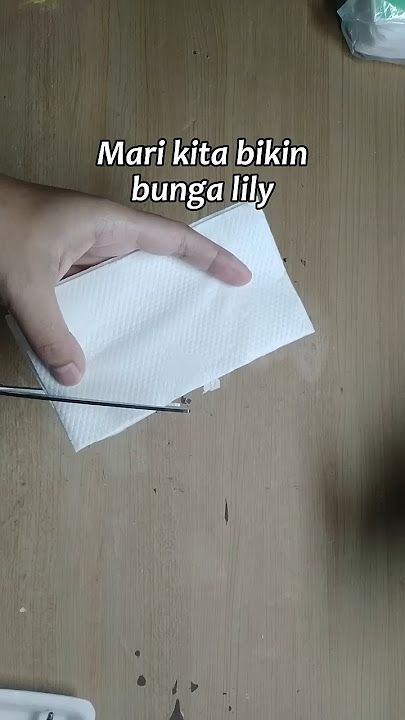 Bunga lily gagal banget