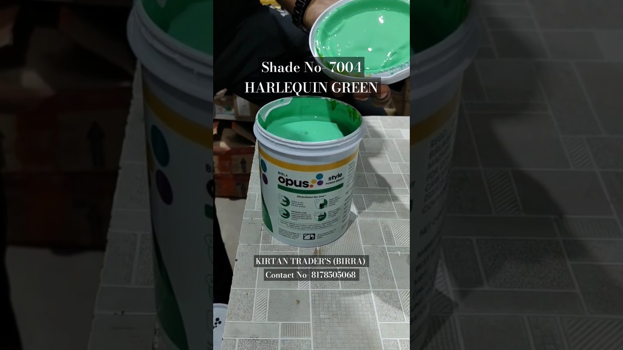 Birla Opus Paints style Power Bright Exterior Shade-7004 