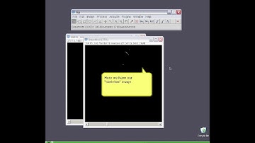 Skeleton Analysis Tutorial
