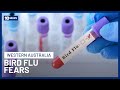 Australia’s First Suspected Bird Flu Case Found In WA | 10 News