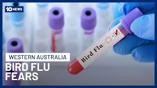 Australia’s First Suspected Bird Flu Case Found In WA | 10 News