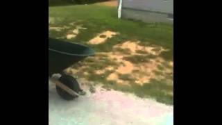 Morph suit prank p1.