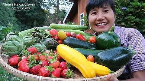 THU HOẠCH DÂU TÂY, DƯA LEO HÀN QUỐC, CÀ CHUA ,BÔNG ATISO, BÍ NGÒI HÀN QUỐC, BÍ NGÒI VÀNG
