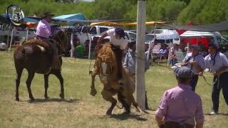 Imagen destacada en Hasenkamp Entre Rios