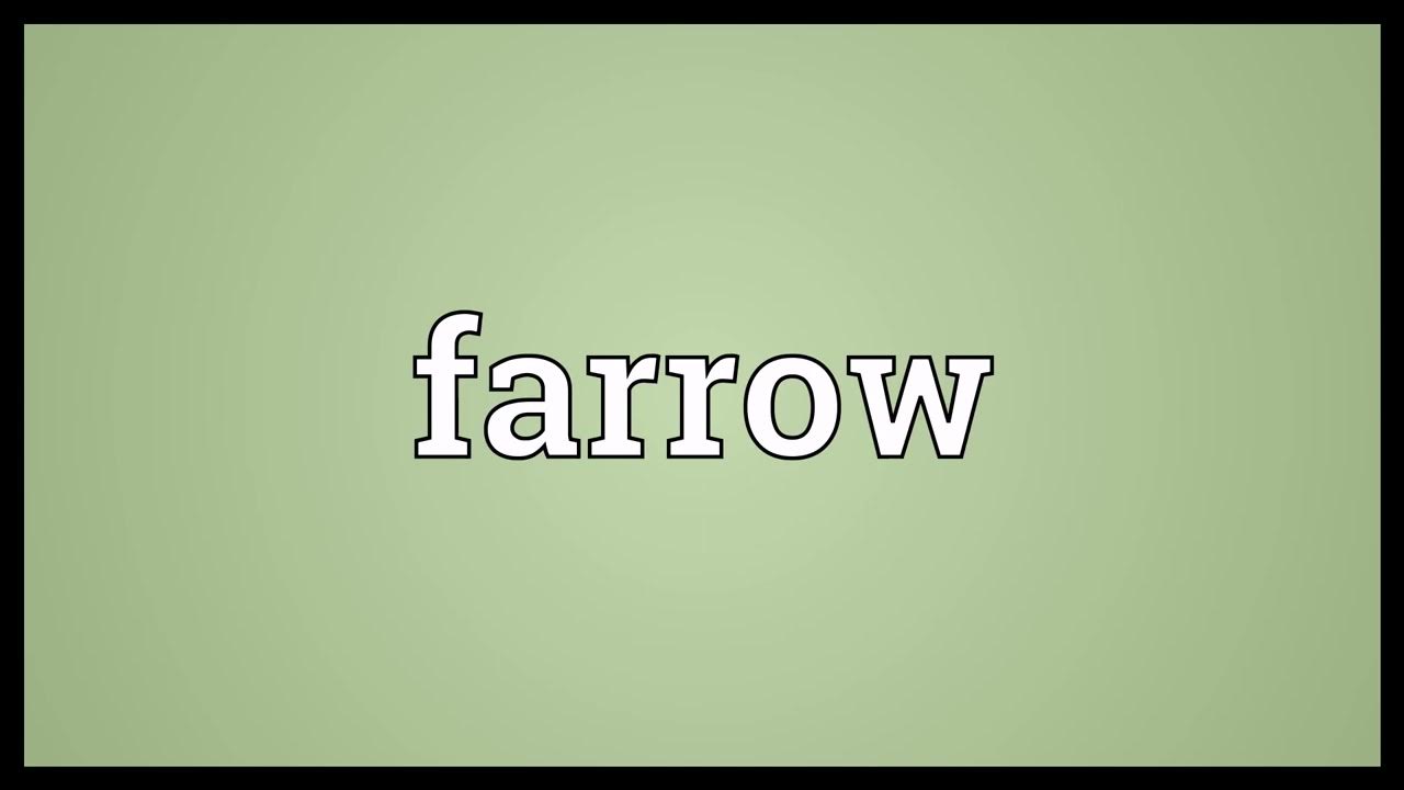 Farrow Meaning YouTube