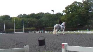 Pixie Jay 4th at Oldencraig Area Final Medium Bronze