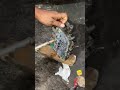 Clean Transmission Shift Solenoid Plate #auto #shortsfeed