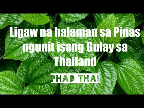 Video: Mga Halaman Sa Looban Ng Thai
