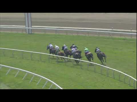 video thumbnail for MONMOUTH PARK 07-26-2025 RACE 5