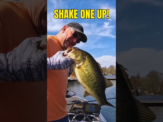 Shake One Up 🎣
