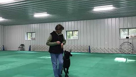 Heeling 10 03 20