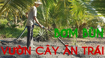 Bơm bùn vườn cây ăn trái / Pumping mud to reach fruit trees
