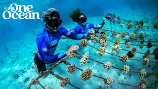 WSL One Ocean 2023 Global Impact