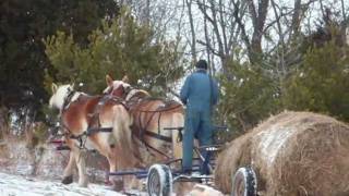 Hay sled.wmv
