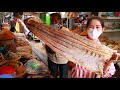 Market show - Buy big salty dry fish for steaming - Big salty ocean fish steam duck egg recipe