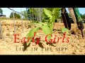 Life in the SIPP: How we plant our tomatoes!!! And how we stake them as they grow.