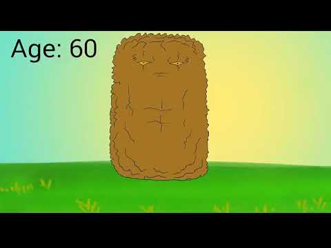 Plants vs Zombies 2 tall nut ages