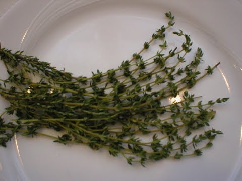 Thyme 101-How to Freeze Thyme hqdefault