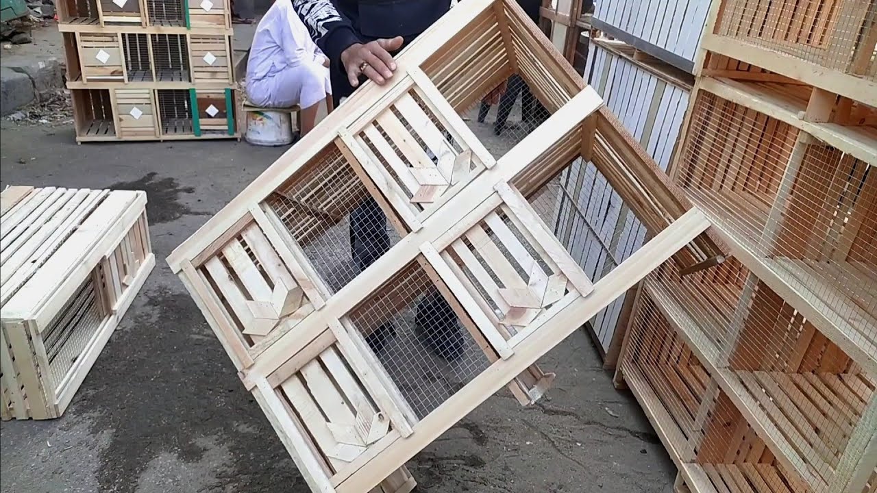 أسعار العيون الخشب والحمام الغزار والزينه والزاجل بسوق الجمعه بالسيده عائشه يوم ١١/٤/٢٠٢٥