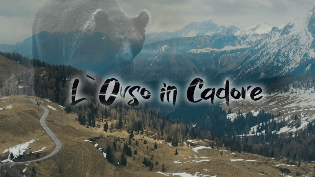 "L'Orso in Cadore" - Trailer