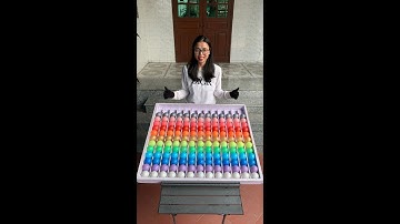 Puzzle sorting ball game challenging game very easily