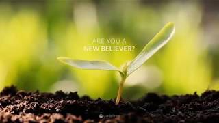 New Life - The First 5 Steps to Grow as a New Christian - Free Devotional Bible Study