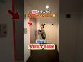 #賃貸 #内見 #一人暮らし #不動産 #ルームツアー