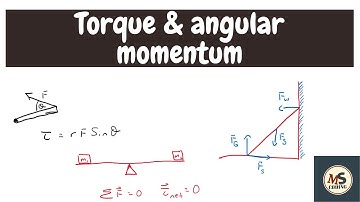 Physics| Torque, static equilibrium, center of gravity, and angular momentum