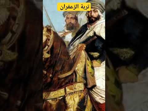 تربة الزعفران