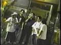 streak ストリーク flower in the natural PV