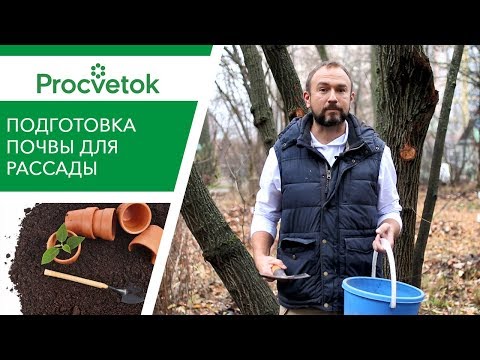 Три волшебных дерева для крепкой рассады! Земля для рассады