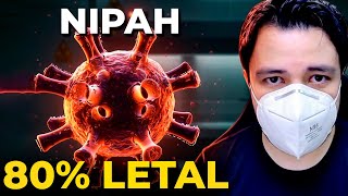 NIPAH VÍRUS: Por que o Alerta Mundial foi Ligado HOJE?