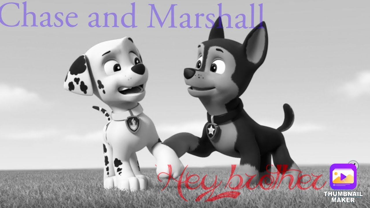 Marshall and Chase brothers forever 💙❤️ 