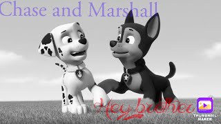 Marshall And Chase Brothers Forever