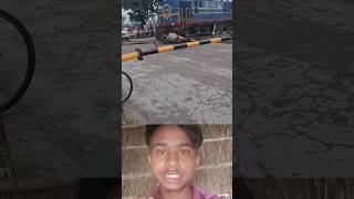 Cow narrowly escapes death
