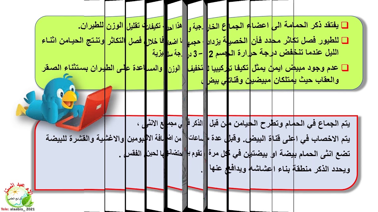 الصف الرابع العلمي الفصل السادس/الجزء الثاني / المحاضرة الثانية الحمامة