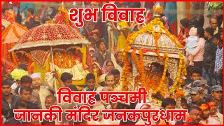 ववह पञचम शभ ववह जनक मनदर जनकपरधम Vivah Panchami 2024 Janaki Mandir Janakpur