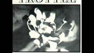 Trottel - Barricades