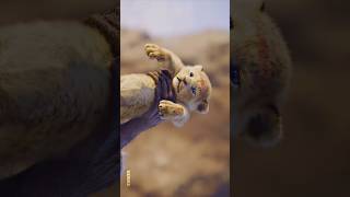 Lion King Aesthetic Edit 4K