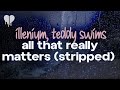 illenium, teddy swims - all that really matters (stripped version) (lyrics)