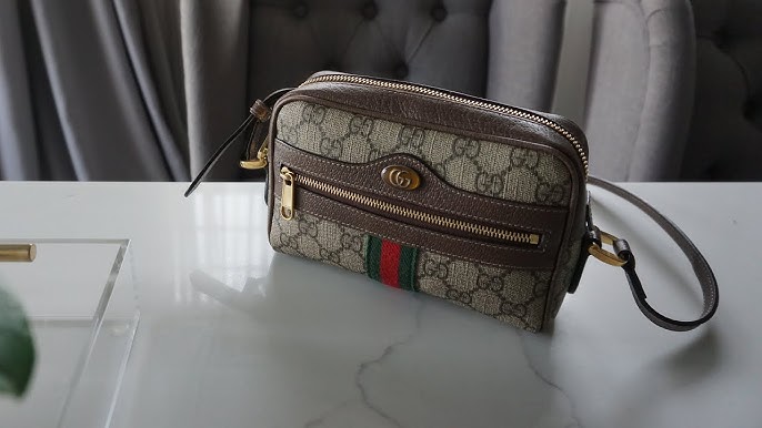 What Fits Inside My Gucci Ophidia GG Supreme Mini Bag! Plus Mod