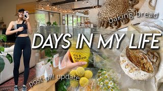 DAYS IN MY LIFE | try on clothing hauls, baking sourdough, working out, \& going off the pill update!