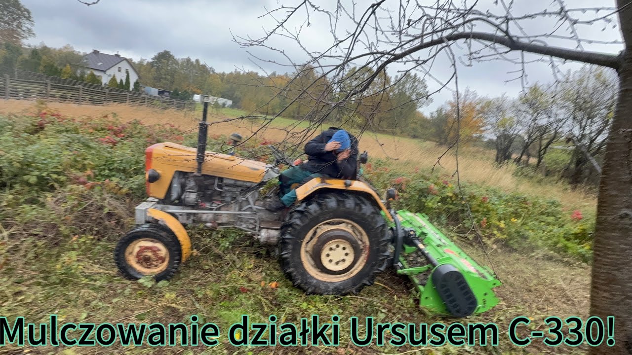 Mulczowanie działki Ursusem C-330 i Talex Leopard 200! Stary ciągnik, nowy potwór 🌿🔥